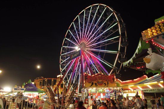 ジョリー ロジャー アット ザ ピア